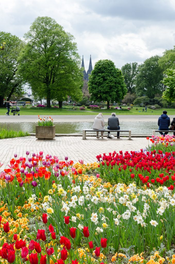 Frühling im Rheinpark